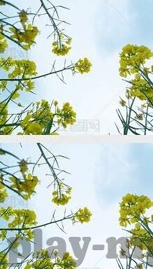 素人若妻-素人若妻，平凡生活中的温暖篇章